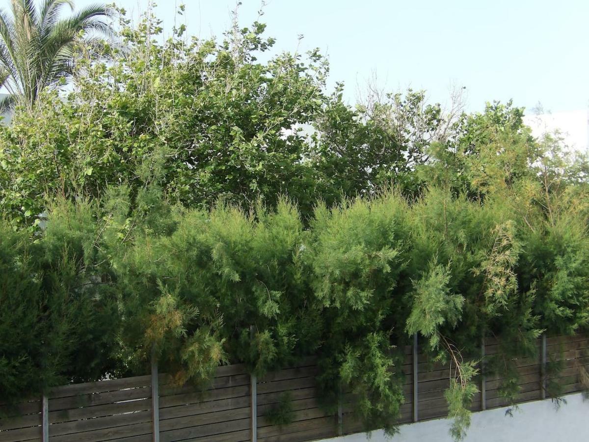Teo 2 Apartment Goúvai Ngoại thất bức ảnh